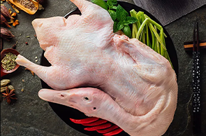 鸭肉